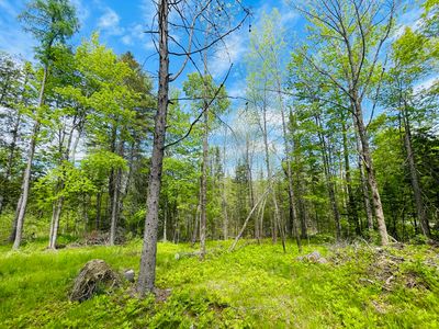 14-031-001 Greeley's Landing/ Bolton Road, Dover Foxcroft, ME, 04426