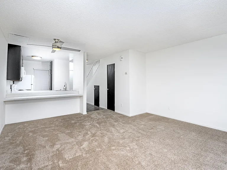 Antone Apartments — Photo 149