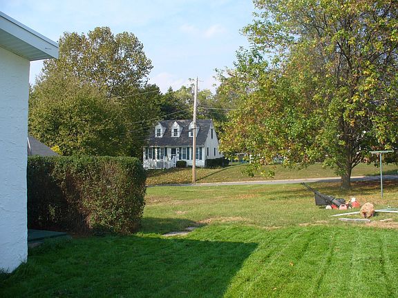 View of Backyard