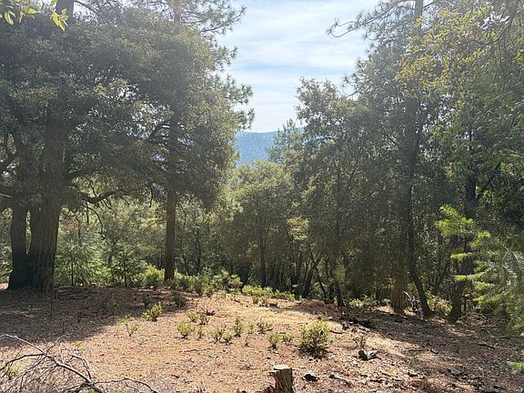 2nd image of 24800 N Canyon Way