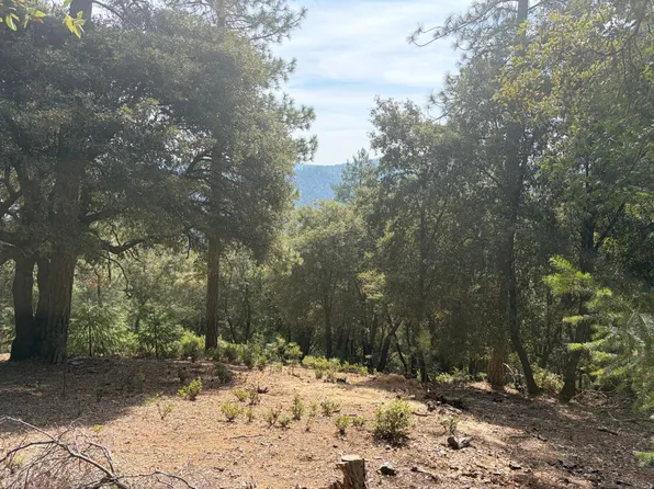 24800 N Canyon Way, Colfax, CA 95713