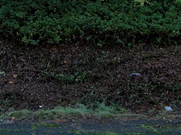 42090 NW Sunset Ave, Banks, OR 97106