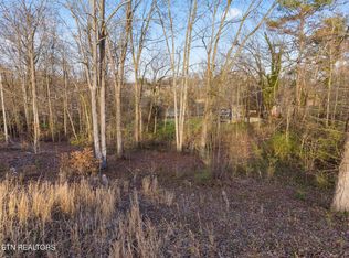 LOT 39 Idlewild Dr, White Pine, TN 37890