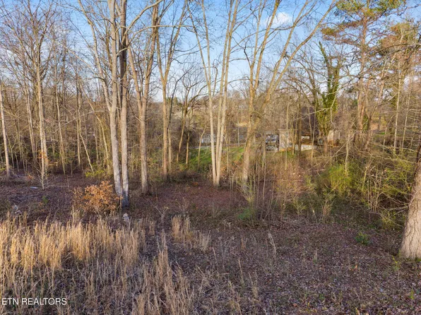 LOT 39 Idlewild Dr, White Pine, TN 37890