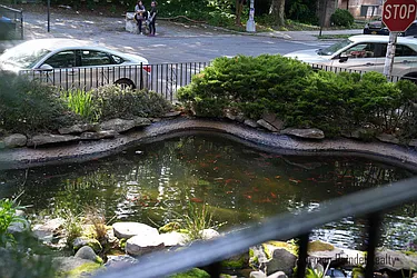 Rented by Norman Raindel, LREB