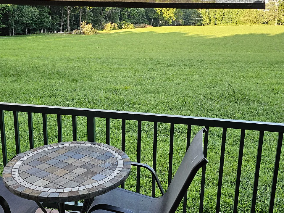 View from Back porch
