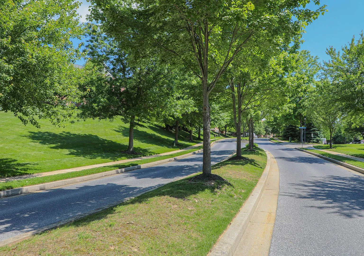Cascades Overlook Apts. — Photo 1