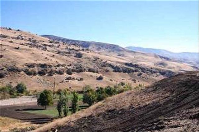 2nd image of LOT 8 N Blazing Star Ln