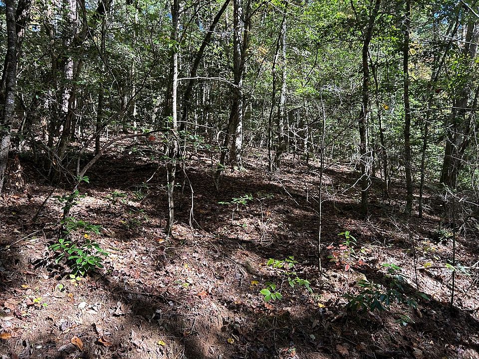 2nd image of 6 Beaver Dam Loop