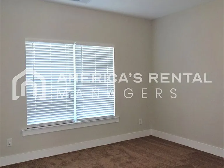 316 Union Station Dr — Photo 12