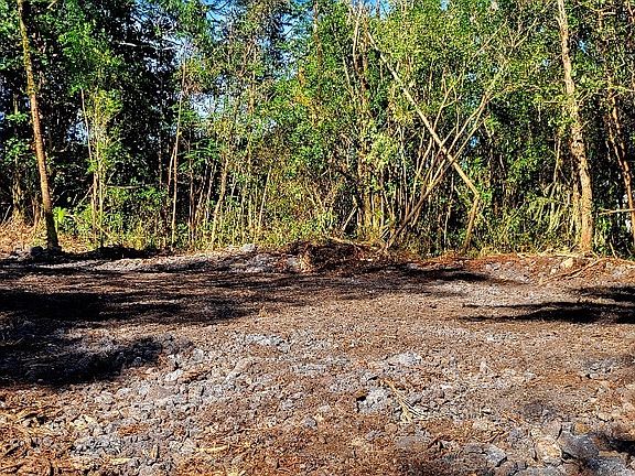 5th image of 37th Ave Lot 13