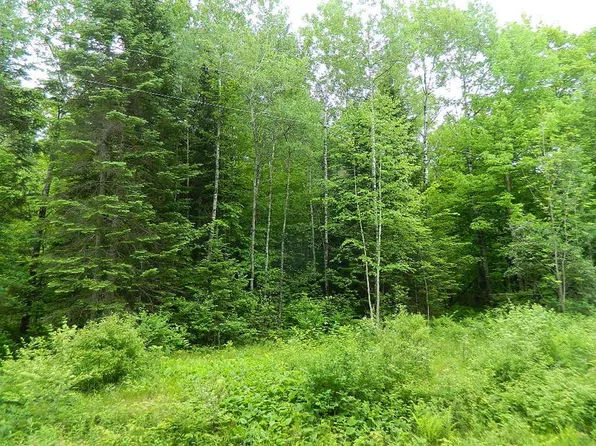 On Price Dam Rd, Winter, WI 54896