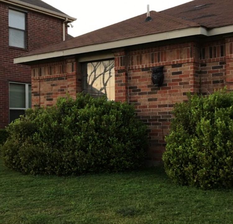 1st image of 1125 Cypress Ln