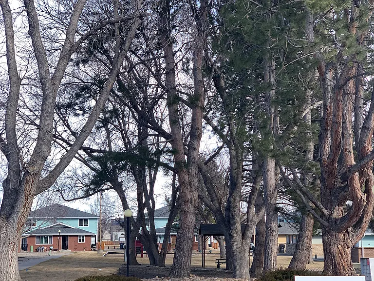 2330 Wedgewood Ave #11D — Photo 3