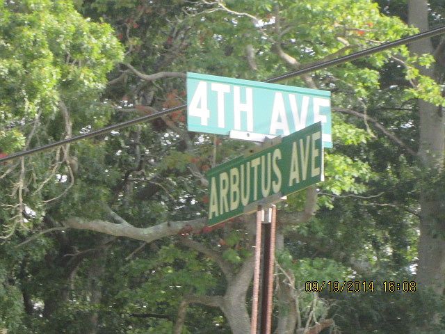 2nd image of 220 Arbutus Ave