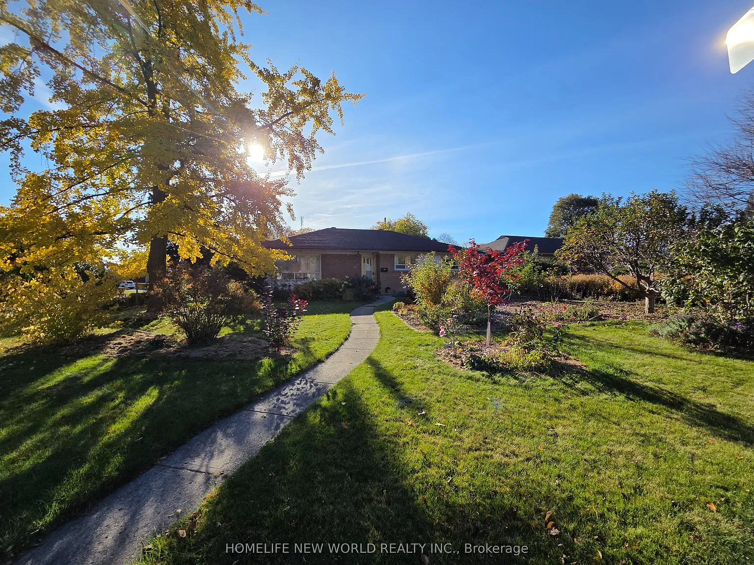 1 bed, $1,000 — Photo 1