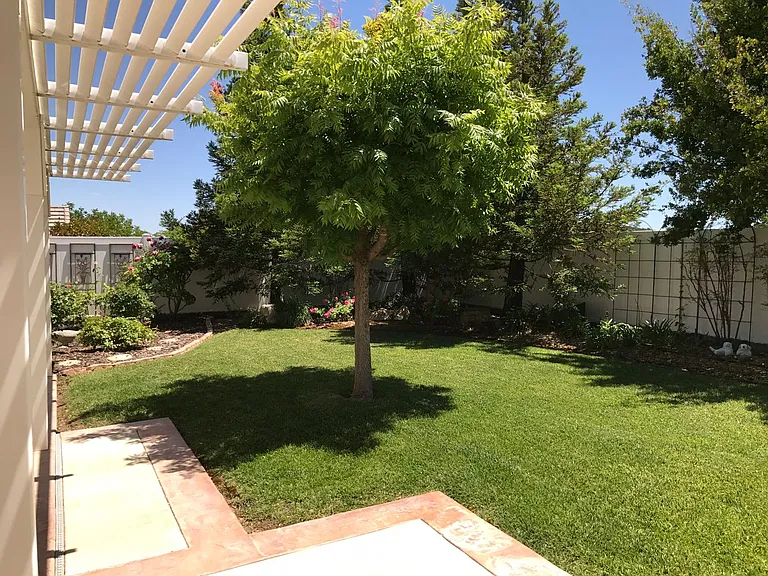 798 Oxen St — Photo 8