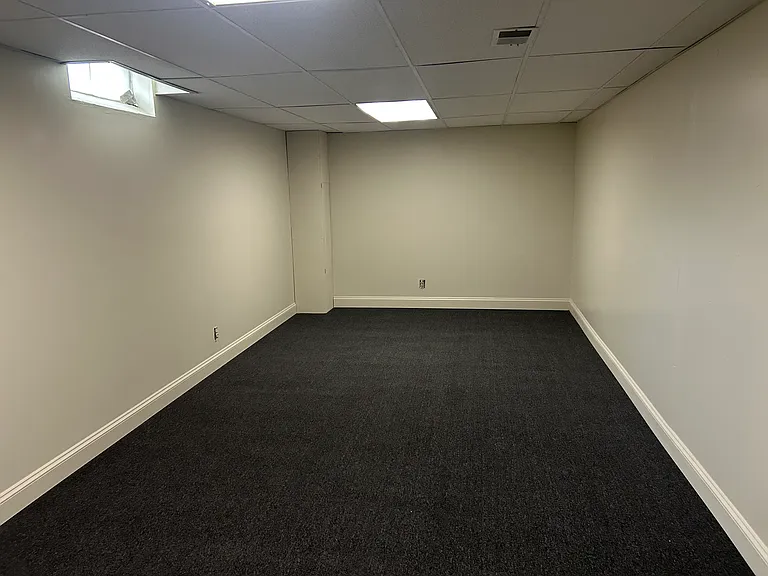 Bonus basement living room!