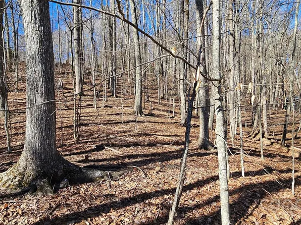 0 Foxden Rd #110, Mars Hill, NC 28754