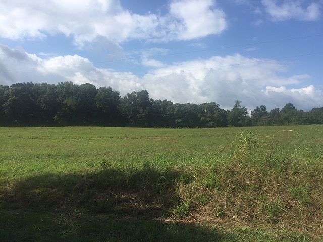 2nd image of McConnell Rd