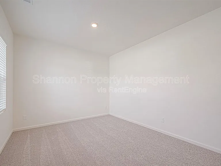 3993 Fringe Tree Ln — Photo 5