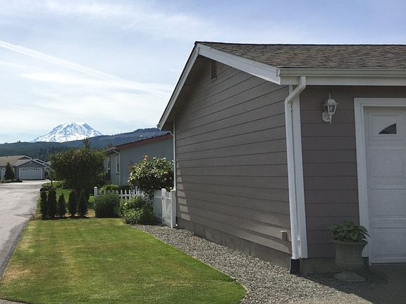 views of Mount Rainier 