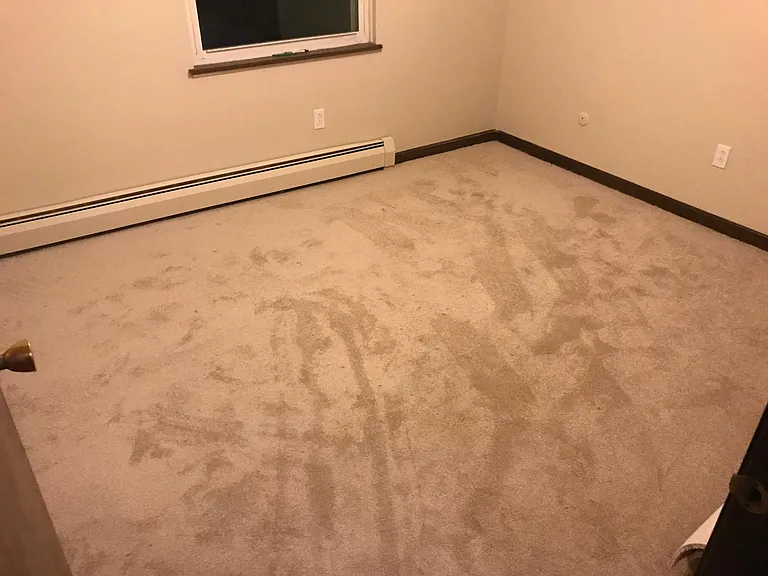 737 Wright Ave #6 — Photo 5
