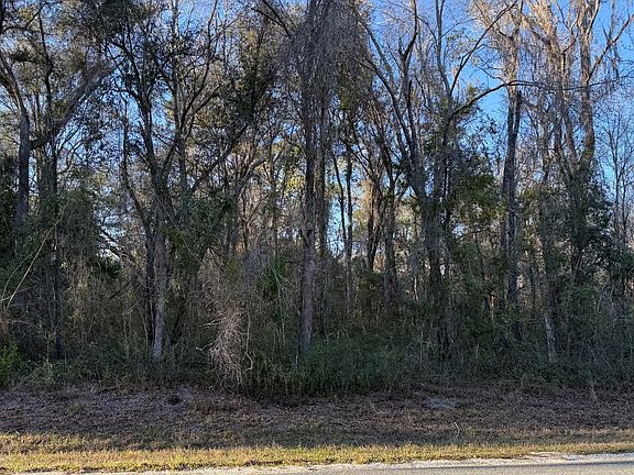 4th image of SW County Road 349