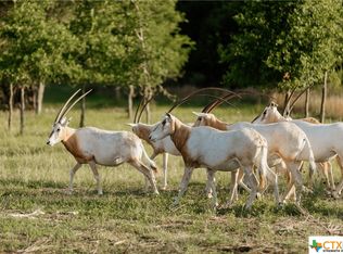 LOT 2 Majestic Hills Rnch, Blanco, TX 78606