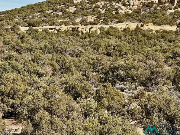 County Road 2550, Aztec, NM 87410