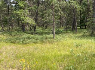 Shadow Land Rd, Grayling, MI 49738