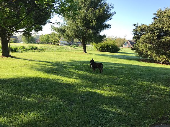 Expansive lawns