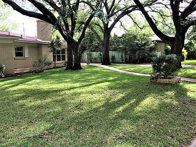 LIve Oaks