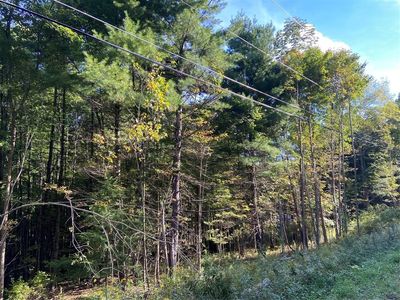 251 Mountain Rd, Windsor, NY, 13865