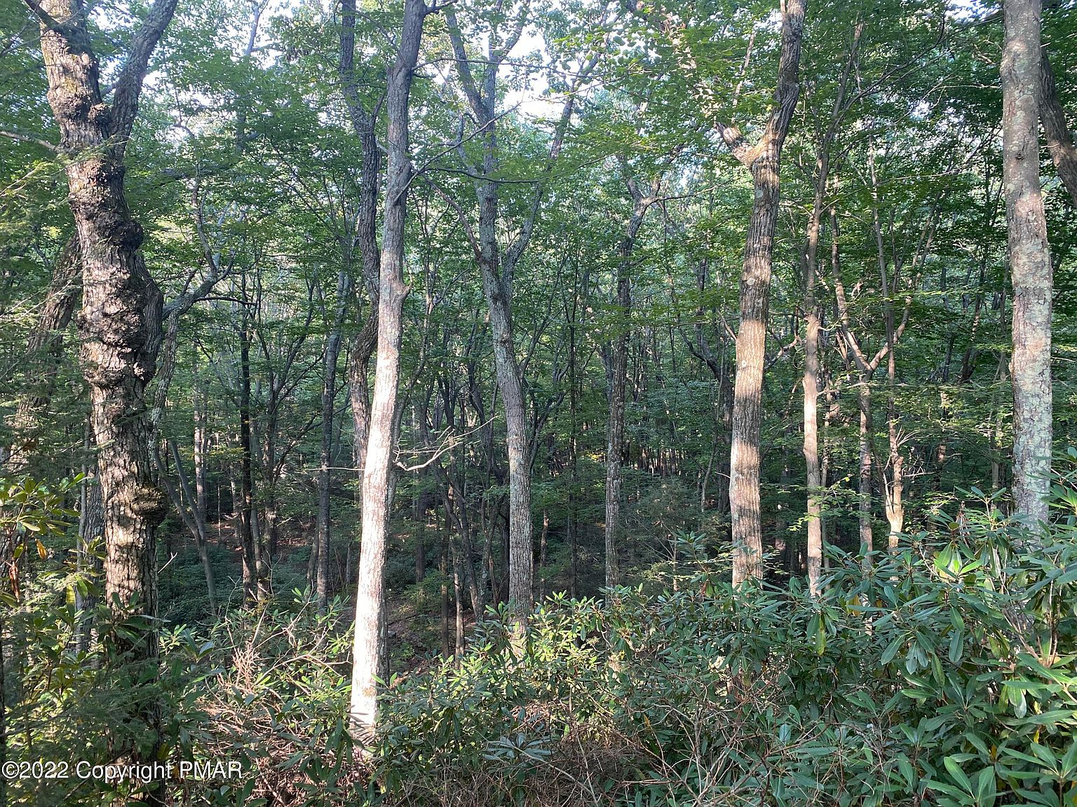 1 T 561, Cresco, PA 18326 MLS PM101198 Zillow