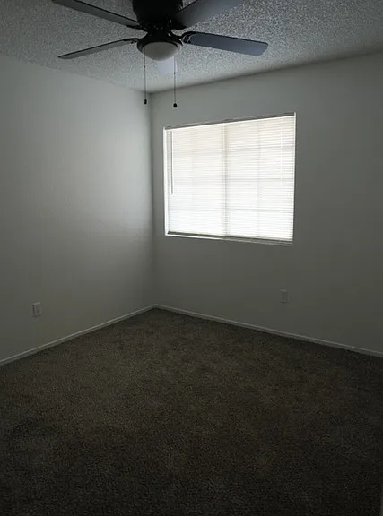 8524 Haupt Ave — Photo 13