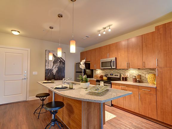 5th image of 221 31st Ave N APT 110