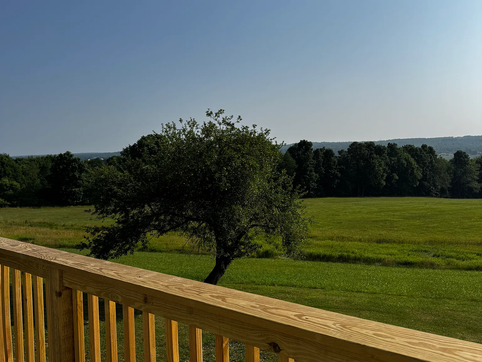 2 bed, 1.5 bath, $1,550 — Photo 4