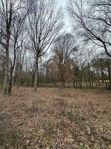 0 Futch Rd, Forest, MS, 39074