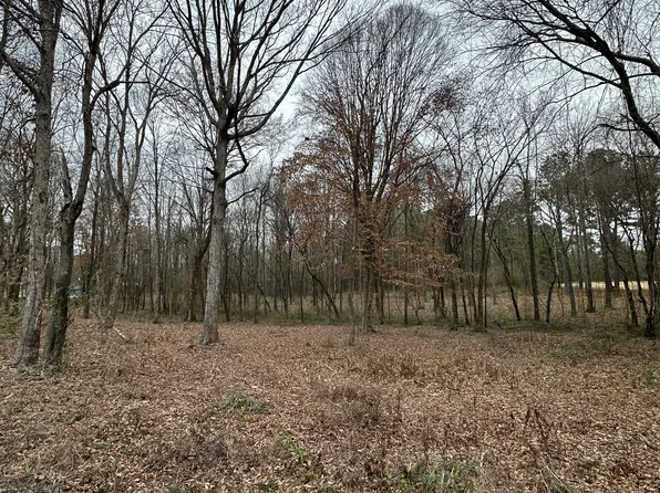 0 Futch Rd, Forest, MS 39074