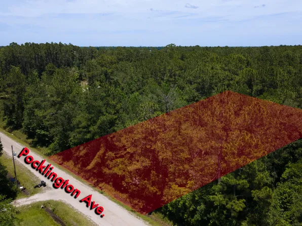 9640 Pocklington Ave, Hastings, FL 32145