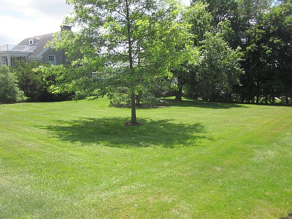 Large Front Yard