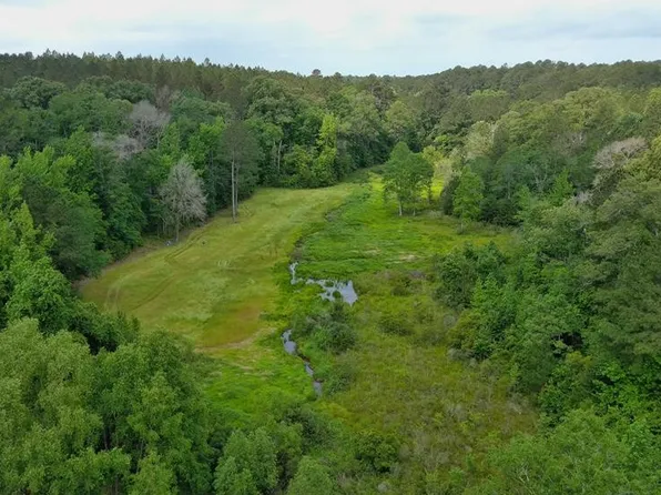 0 John Chambersrd Rd, Roxie, MS 39661