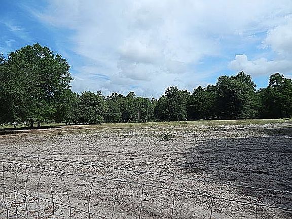 Old, clear cut photo 