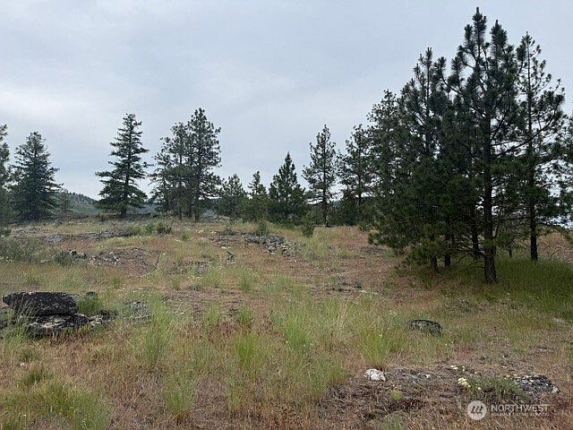 1st image of 111 TBD Patterson Creek