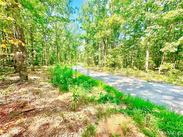 15 Aspen Trail Dr, Potosi, MO 63664