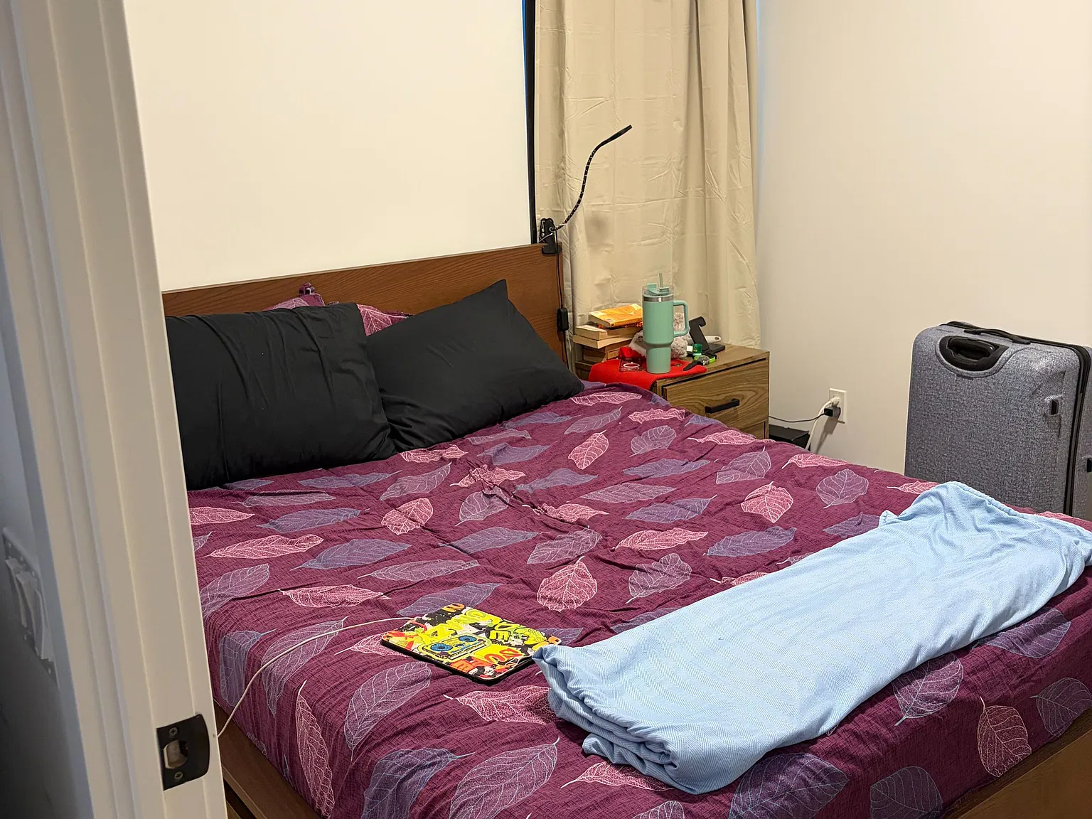 1 bed, $2,000 — Photo 3