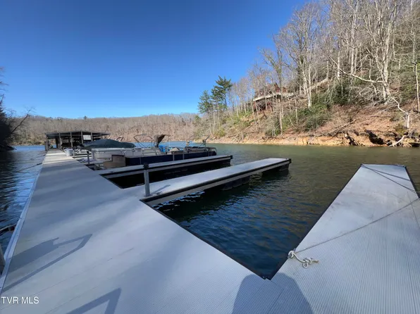 1007 Mount Carmel Dr, Butler, TN 37640