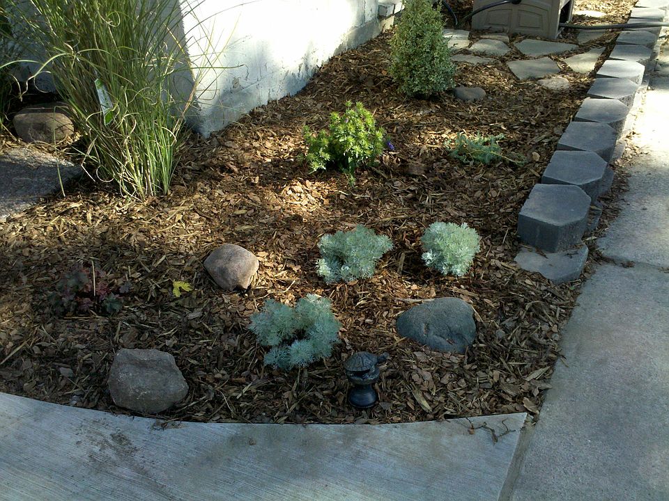newly landscaped