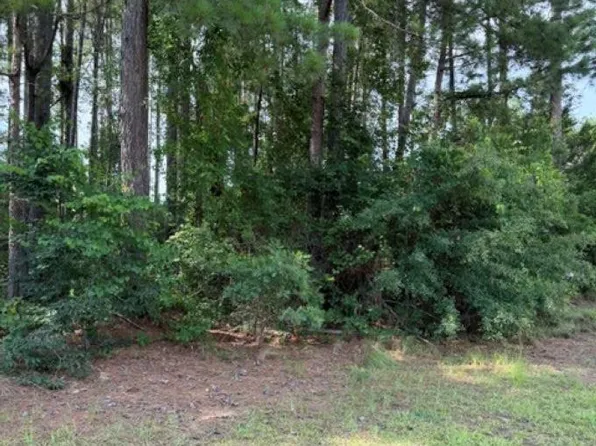 2140 Watersong Run, Sumter, SC 29150